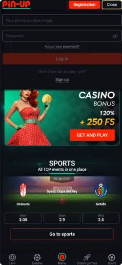 Pin Up Casino APK login
